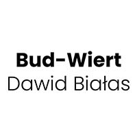 Bud-Wiert Dawid Białas - Kominy