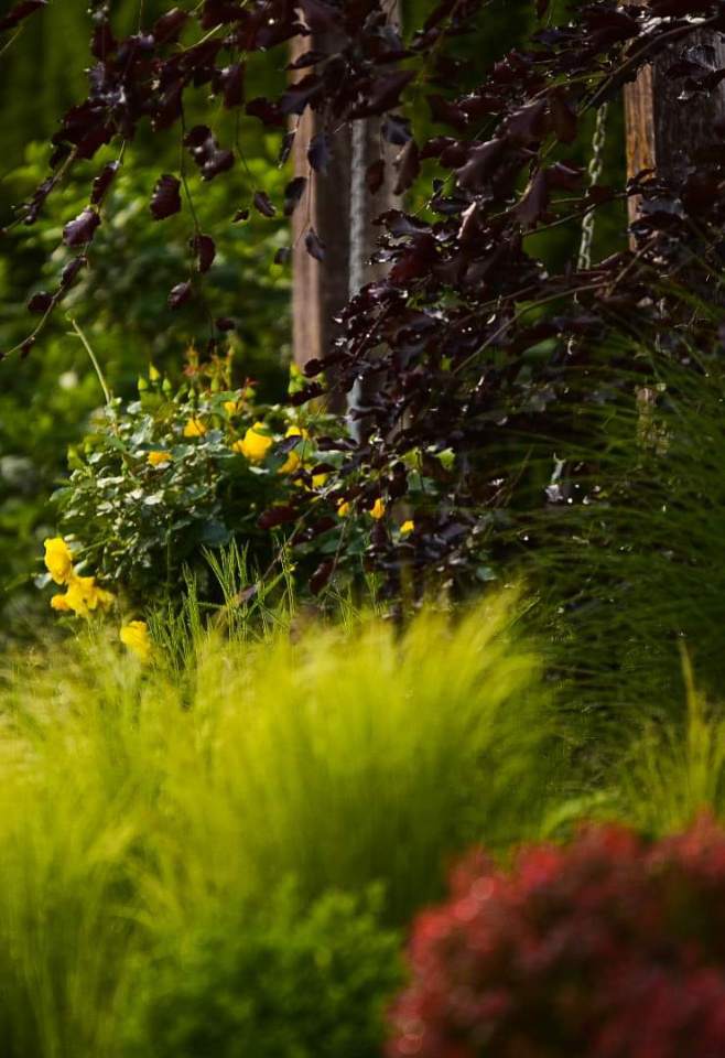 pielęgnacja ogrodów