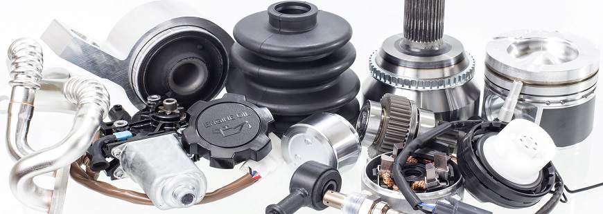 Max Fhu Andrzej Nurczyk