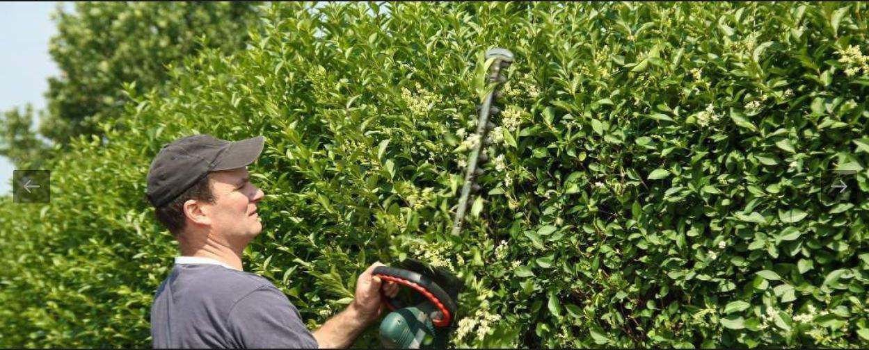 zagospodarowanie przestrzeni