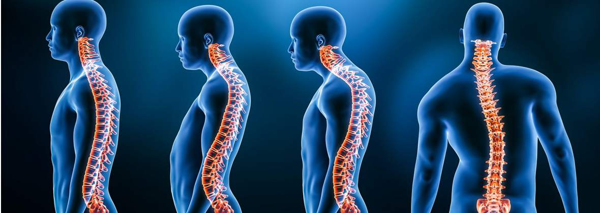 Fizjoterapia - Bajsafizjo