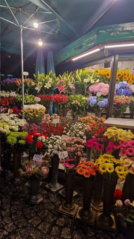 kwiaciarnia, bukiety, boxy kwiatowe, wiązanki