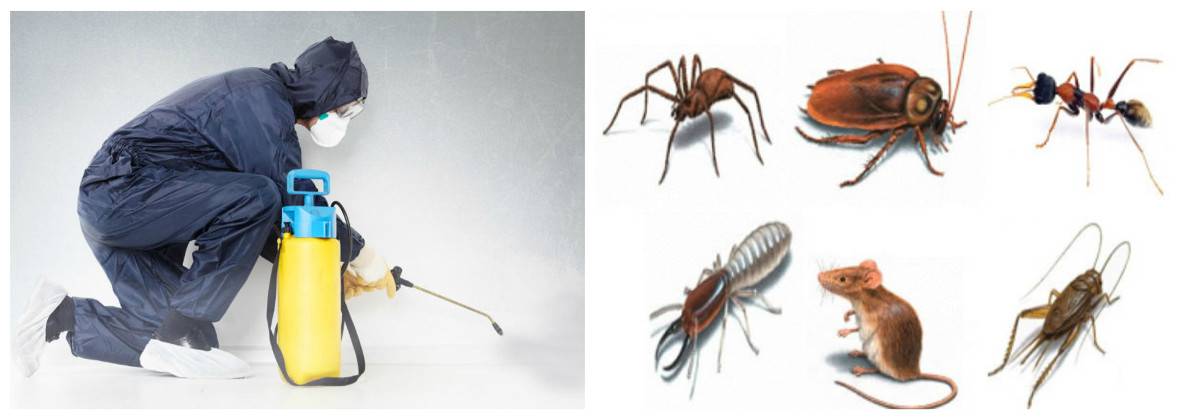 Leader ZPHU Mirosław Jackowski