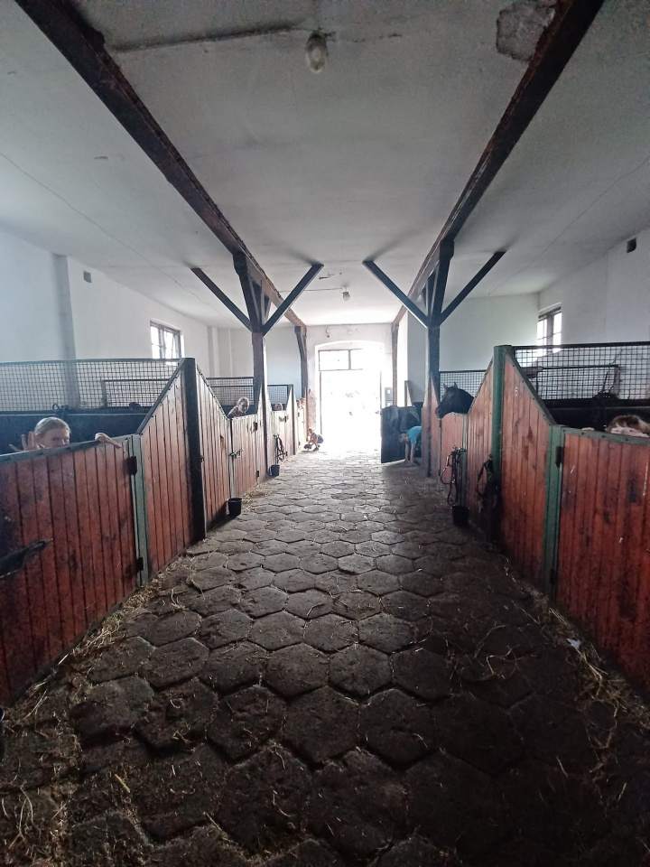 stajnia