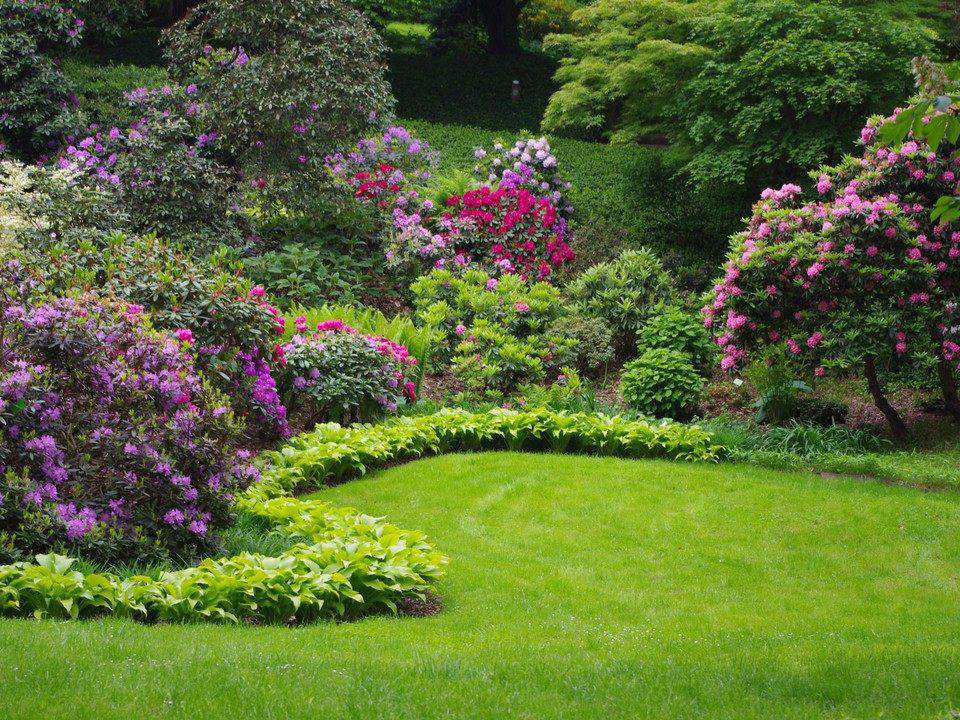 pielęgnacja ogrodów