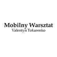 Mobilny Warsztat Valentyn Tokarenko - Elektronika samochodowa