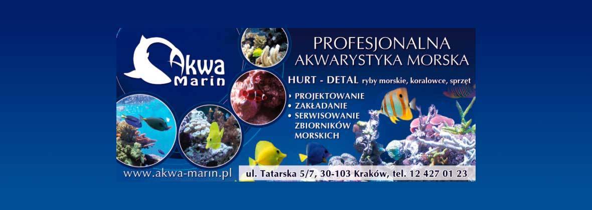 Akwa Marin Olivier Ossywa