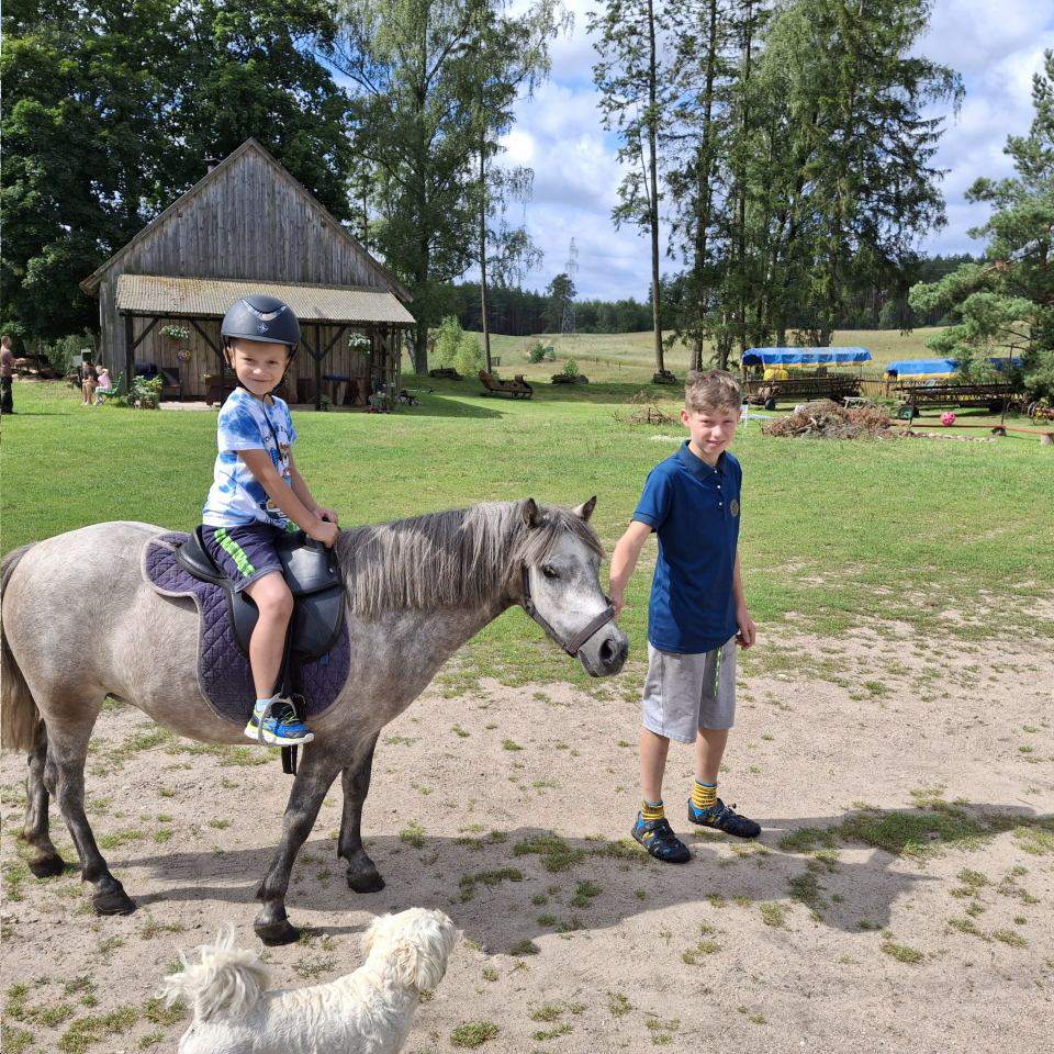 Usługi Gastronomiczne, organizacja wesel, sale na urodziny