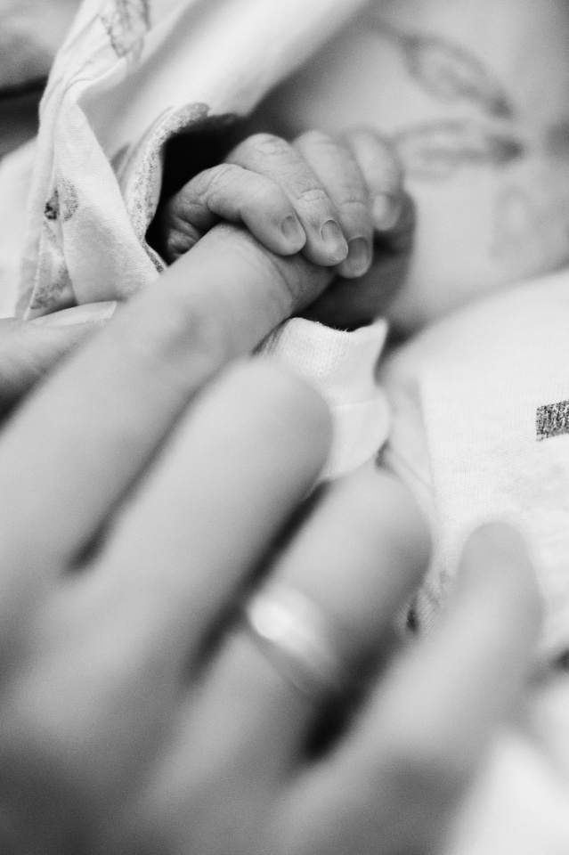 sesje fotograficzne, ślubne, noworodkowe