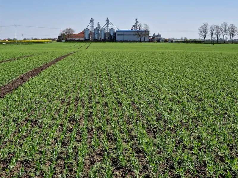 Artur Barczak Gospodarstwo rolne