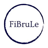 Fbl Łukasz Król - Dystrybucja energii elektrycznej