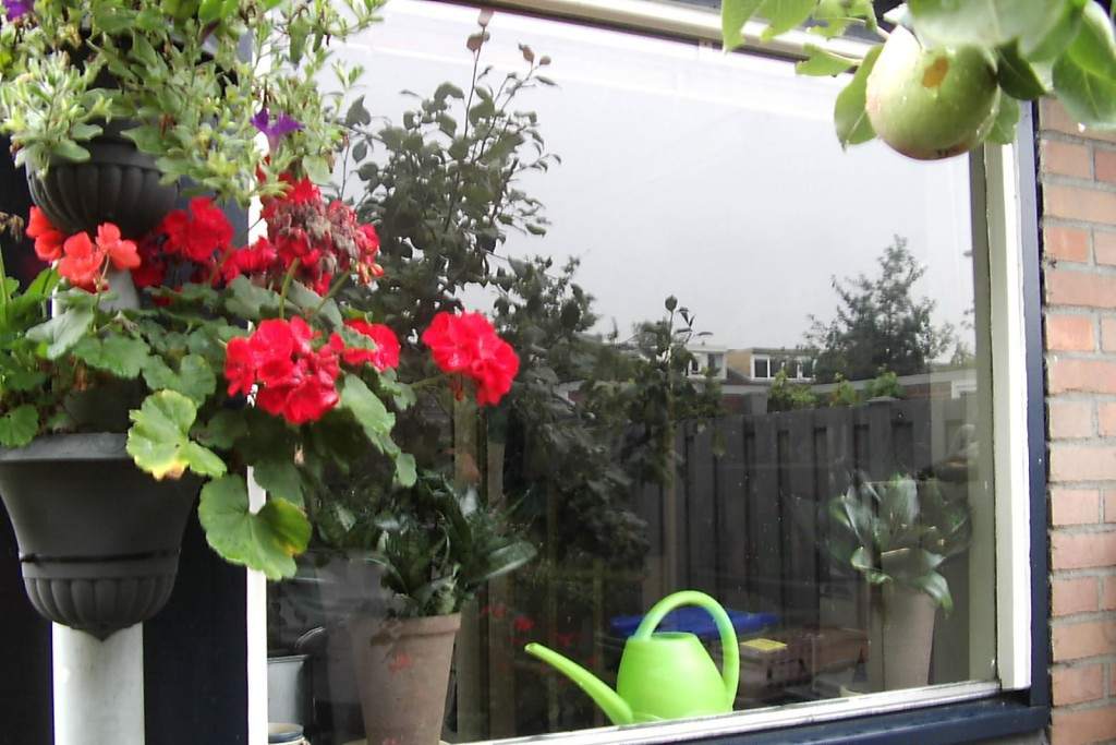 okna PCV, okna drewniane, okna aluminiowe, parapety, drzwi, bramy, rolety wewnętrzne