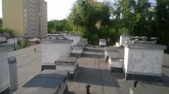 dachy i usługi dekarskie