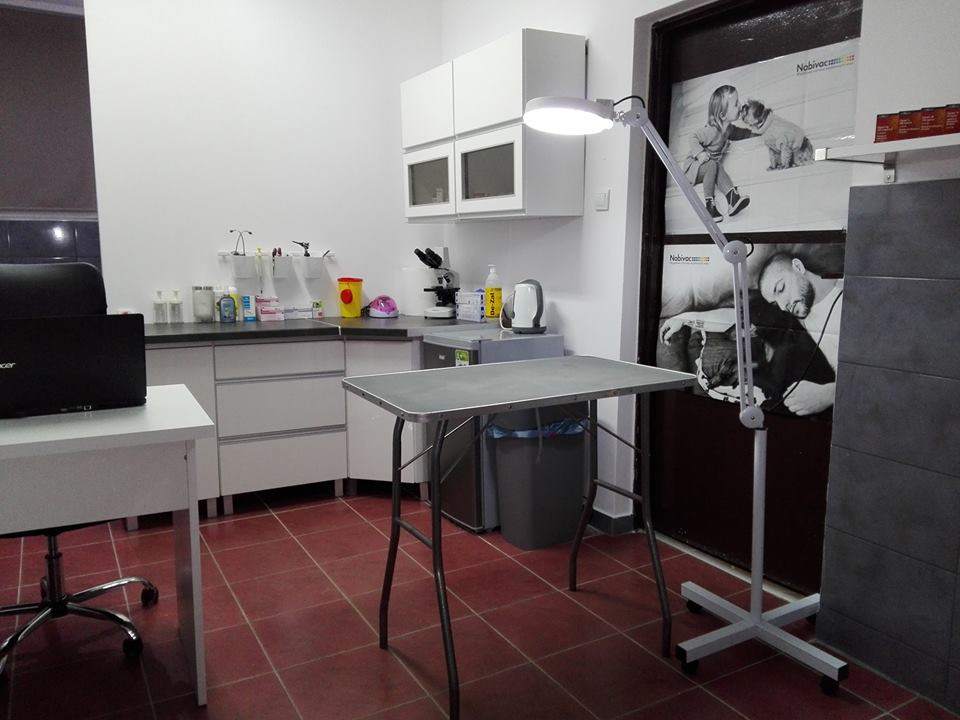 weterynaryjne lecznice, gabinety weterynaryjne, weterynaryjne gabinety, pogotowie weterynaryjne