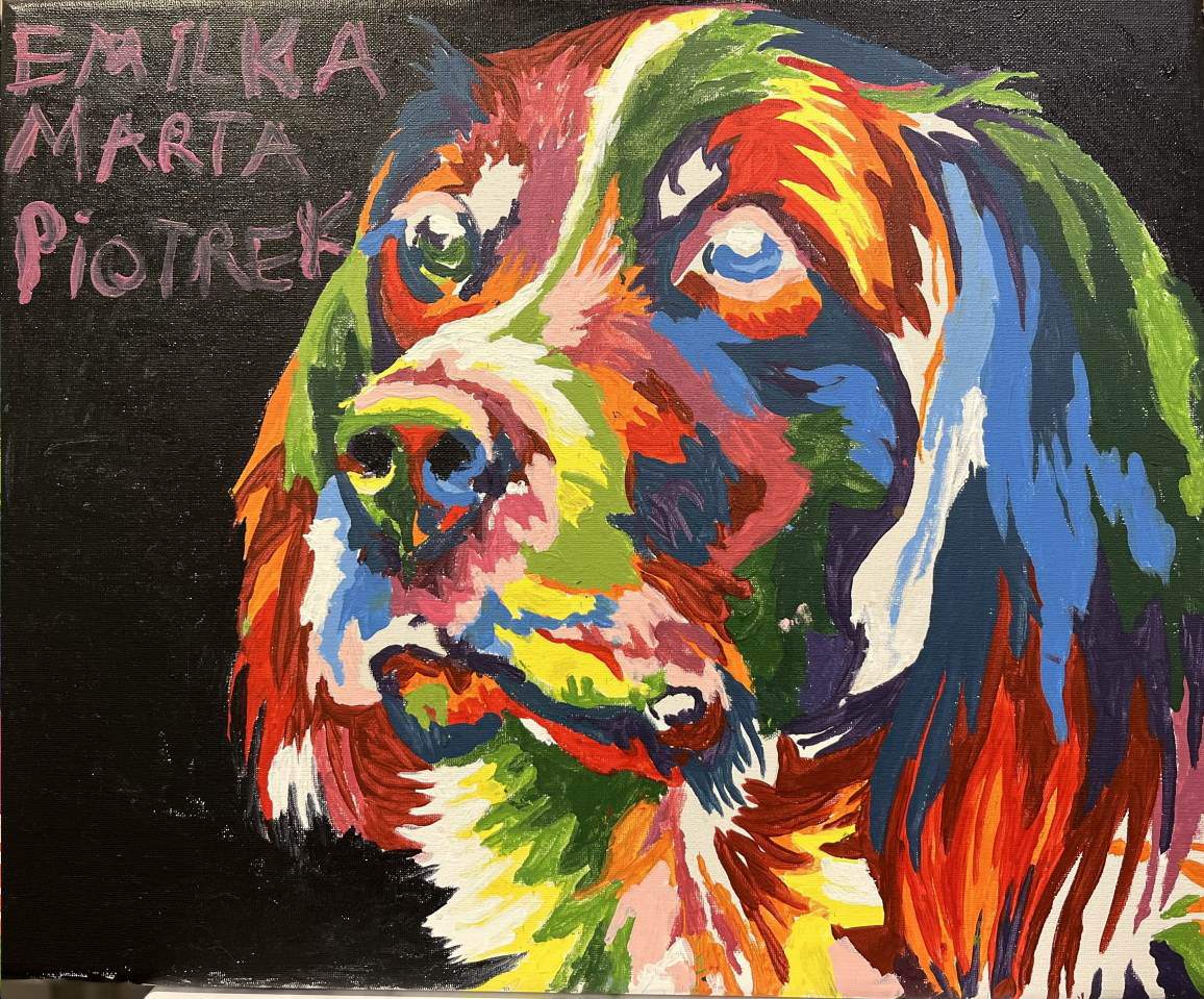 przychodnia weterynaryjna