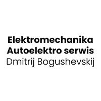 Elektromechanika Autoelektro serwis Dmitrij Bogushevskij - Stacje diagnostyczne i przeglądy techniczne