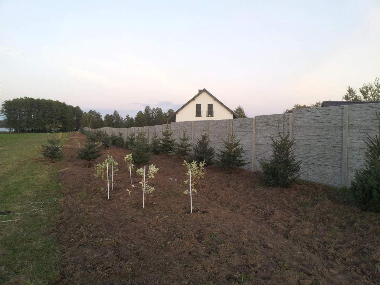 ogrodzenie kamień łupany