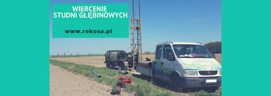 Rokosa Roman Ferensztaj