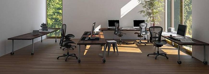 Abea Robert Pierzycki