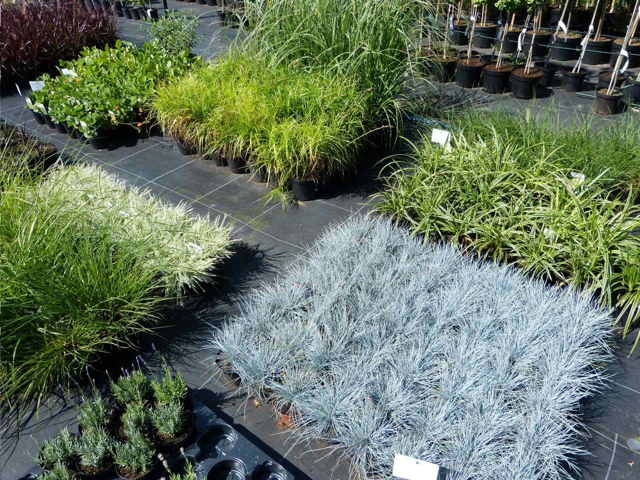 Produkcja roślin i nasion