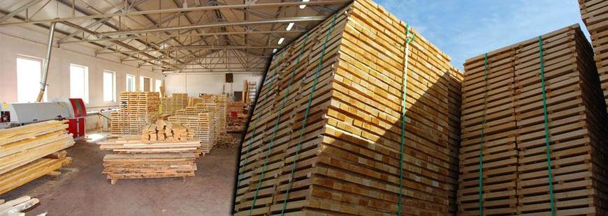 Marek Woliński Drewmark w Spadku