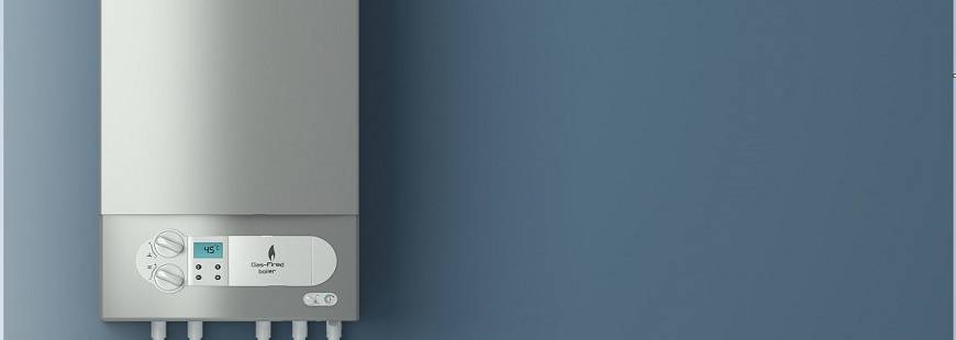 Perfekt Jarosław Zieliński