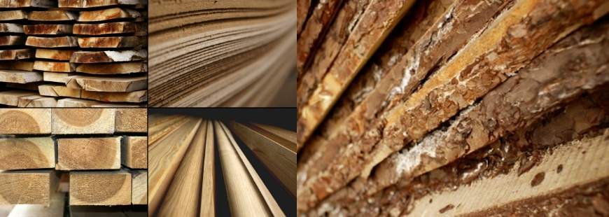 Tadeusz Lisiak Skład Drzewny