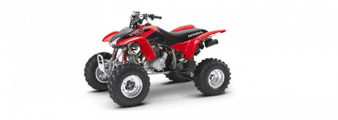 Inżynieria Adv Andrzej Pietrzyk-Motocykle, Quady