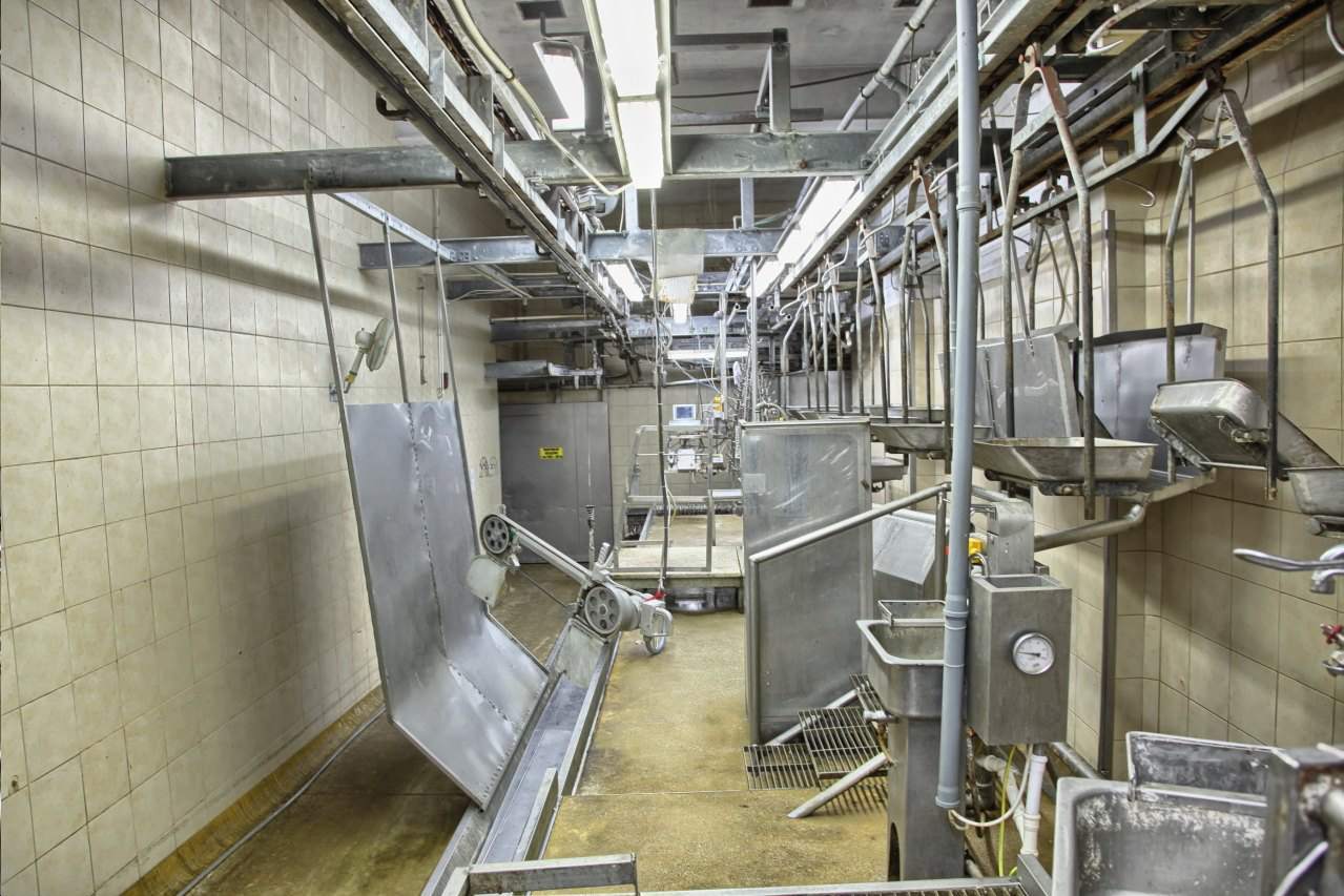 mięso wieprzowe hurt-detal