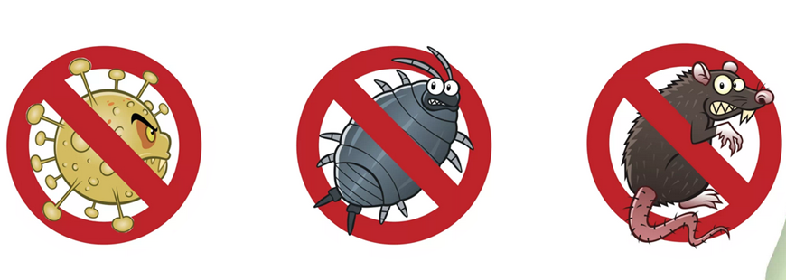 Garden Market Tomasz Mazur