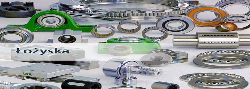 Darex Beata Pastusińska