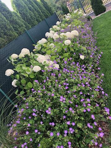 zakładanie ogrodów