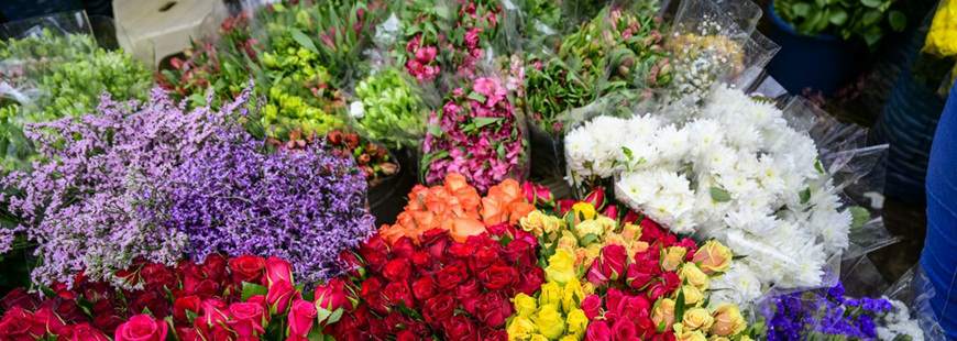 Hurtownia Kwiatów Flowermix Przemysław Woźniewski