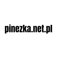 Pinezka Dariusz Pinakiewicz - Wykończenia wnętrz