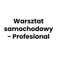 Warsztat samochodowy - Profesional - Stacje diagnostyczne i przeglądy techniczne