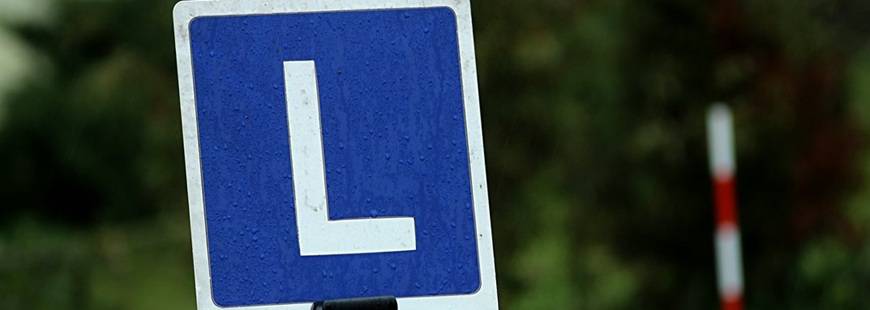 Inspektor Jadwiga Żybińska