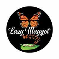 Lazy Maggot Kacper Rak - Ośrodki i kluby sportowo-rekreacyjne