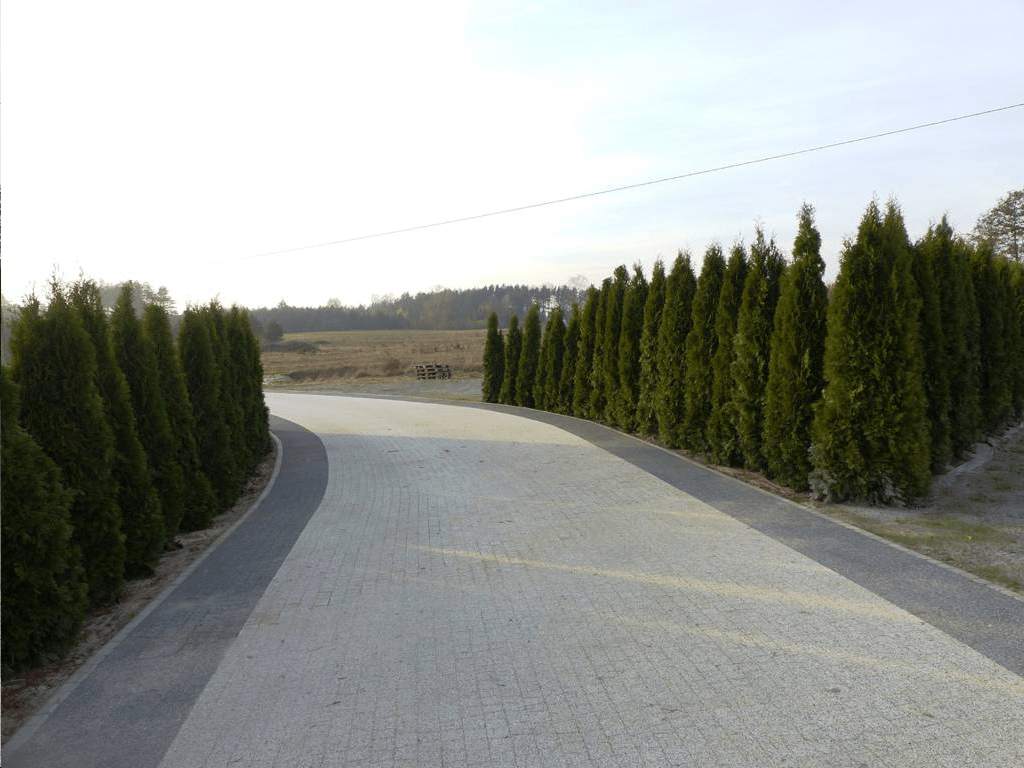 układanie kostki brukowej