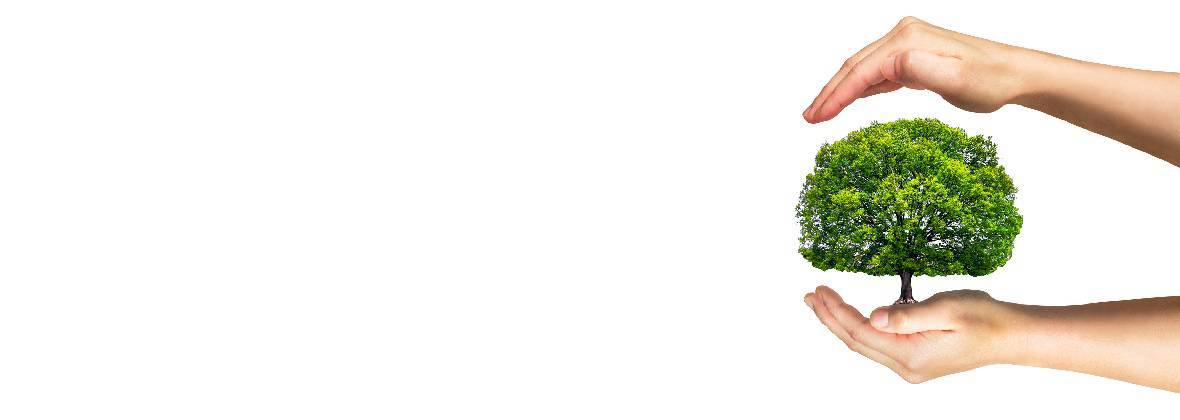 Jar-Kor - szkółka drzew i krzewów