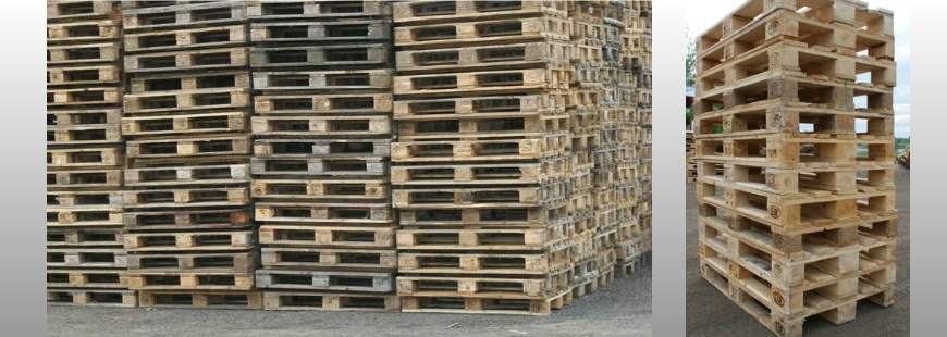 Malick Palety Robert Malicki