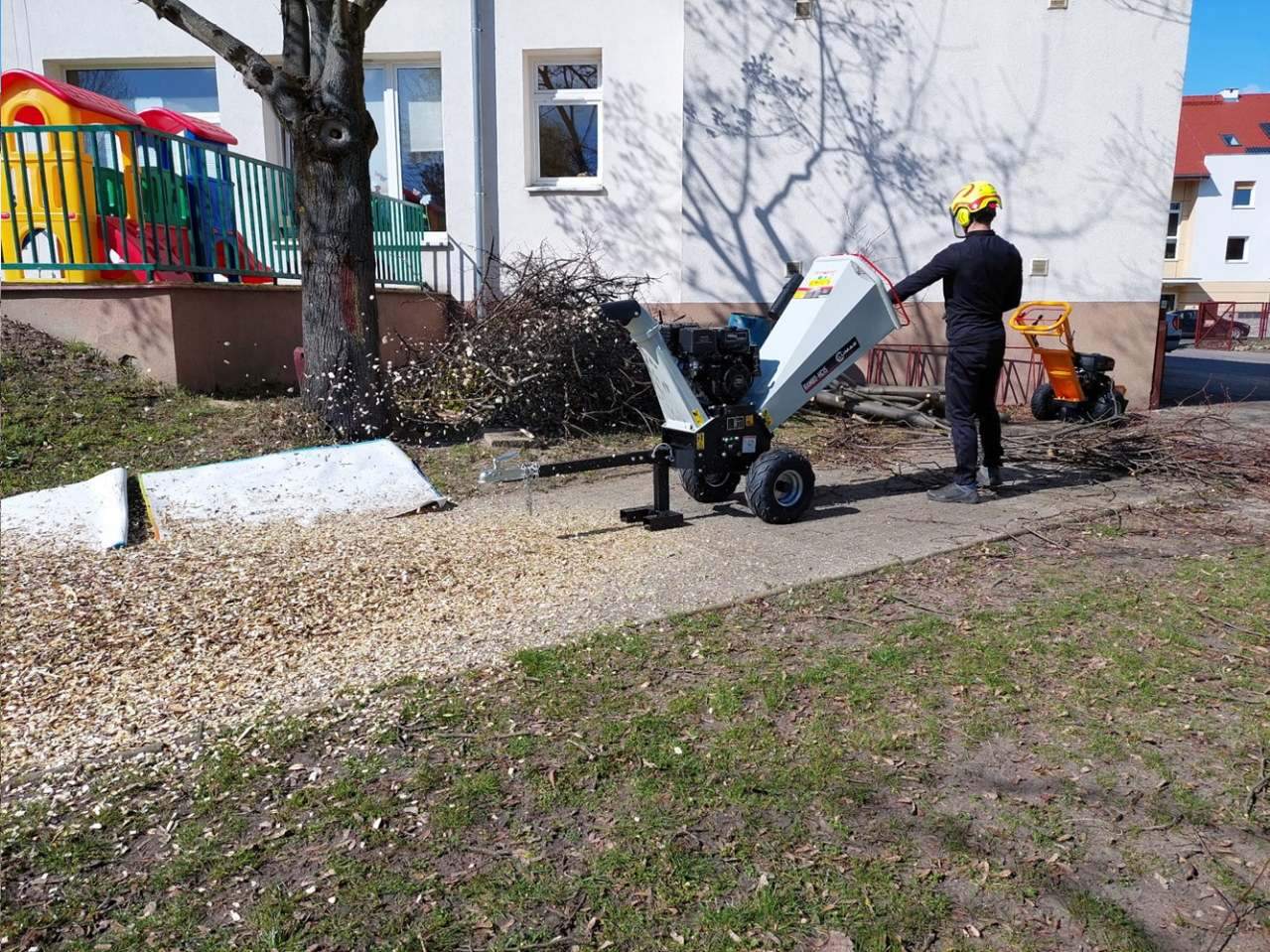 wycinka drzew, wycinka drzew metodą alpinistyczną