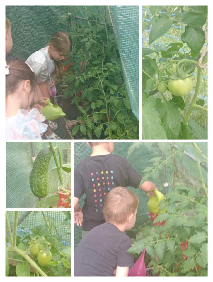 przedszkole prywatne, przedszkole niepubliczne, edukacja przedszkolna