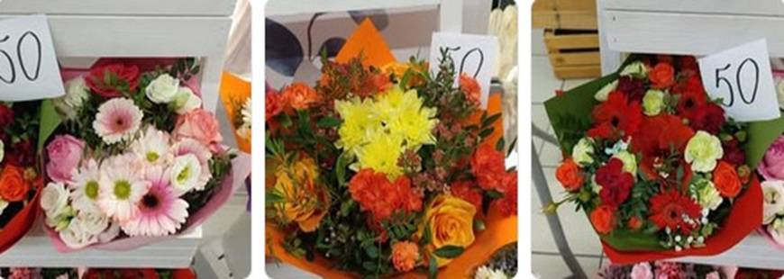 Kwiaciarnia Mackiewicza Amelia