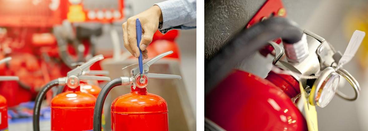 Marek Kamiński Flame Guardians