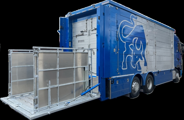 klapa do skupu bydła