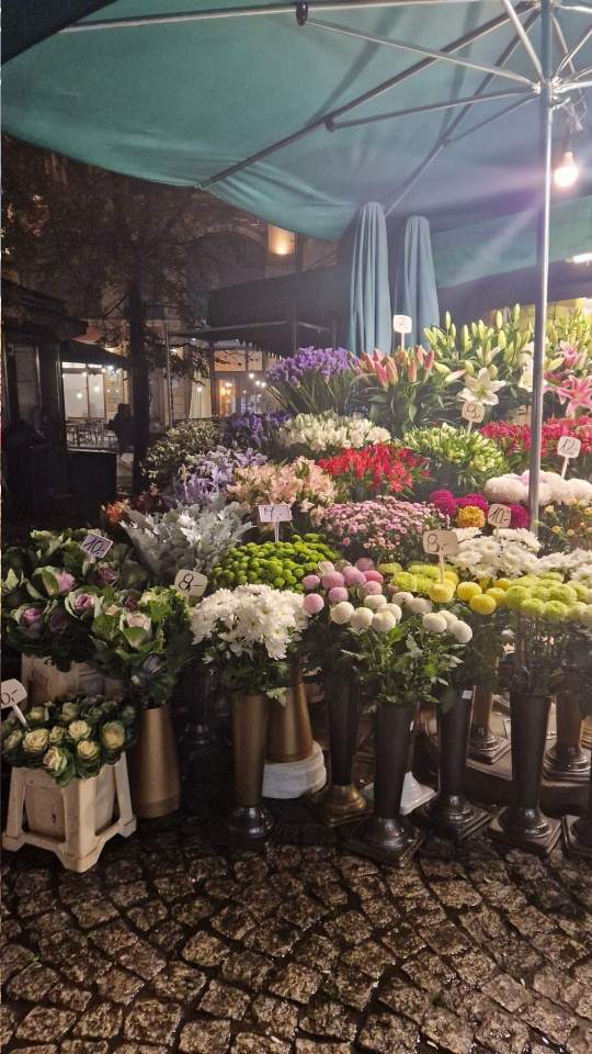 kwiaciarnia, bukiety, boxy kwiatowe, wiązanki