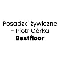 Posadzki żywiczne - Piotr Górka Bestfloor - Hurtownie parkietu i paneli podłogowych