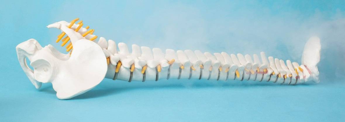 VitalFizjo Dorota Kowalska - Strzelecka