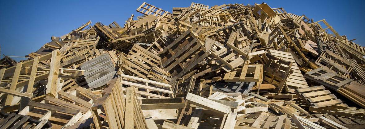 Raf-Pal Skup i sprzedaż palet Rafał Tutis