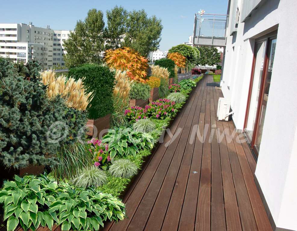 zakładanie, pielęgnacja ogrodów